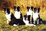 Cola and her daughters in Hamina