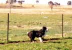 Sally in her previous home in Australia